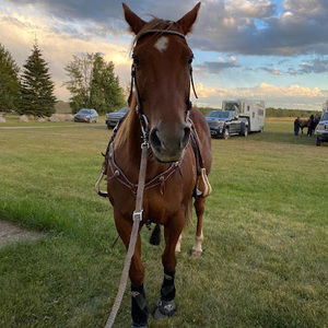 Meet your Posher, Clara